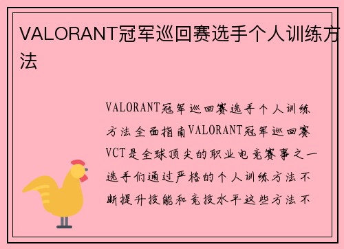 VALORANT冠军巡回赛选手个人训练方法