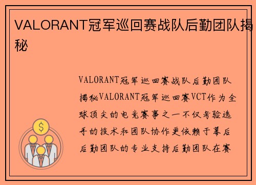 VALORANT冠军巡回赛战队后勤团队揭秘