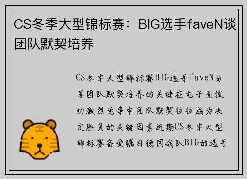 CS冬季大型锦标赛：BIG选手faveN谈团队默契培养