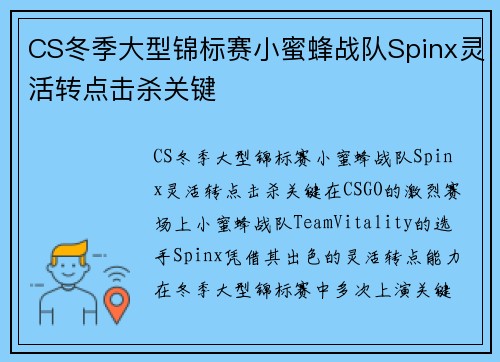 CS冬季大型锦标赛小蜜蜂战队Spinx灵活转点击杀关键